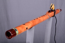 Western Red Cedar Burl Native American Flute, Minor, Mid B-4, #K23G (6)